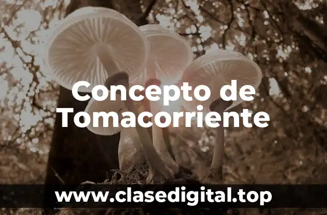 Concepto de Tomacorriente