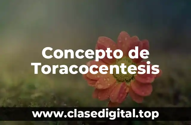 Concepto de Toracocentesis