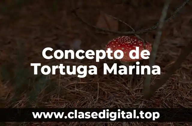 Concepto de Tortuga Marina