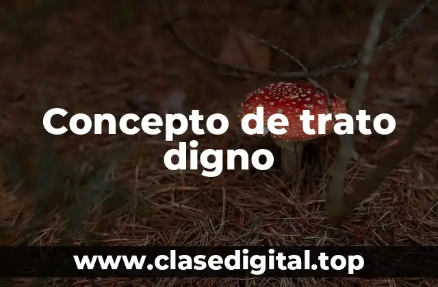 Concepto de trato digno