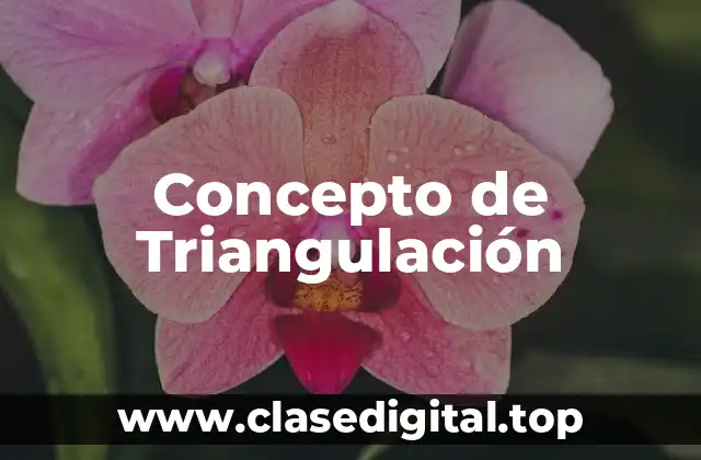 Concepto de Triangulación