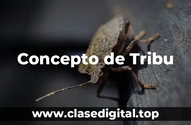 Concepto de Tribu