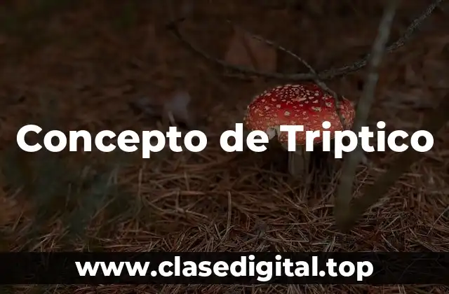 Concepto de Triptico