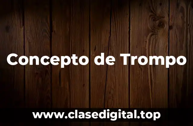 Concepto de Trompo