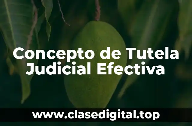 Concepto de Tutela Judicial Efectiva