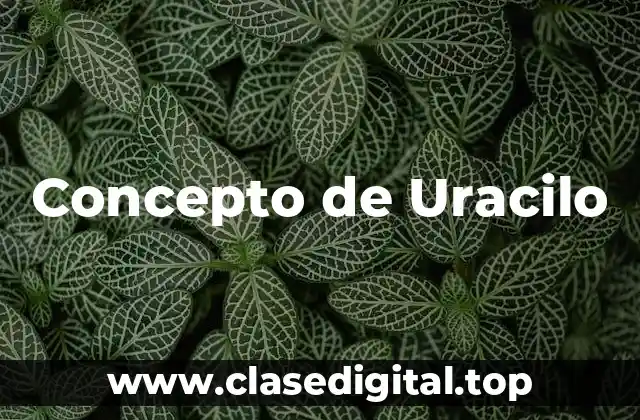 Concepto de Uracilo