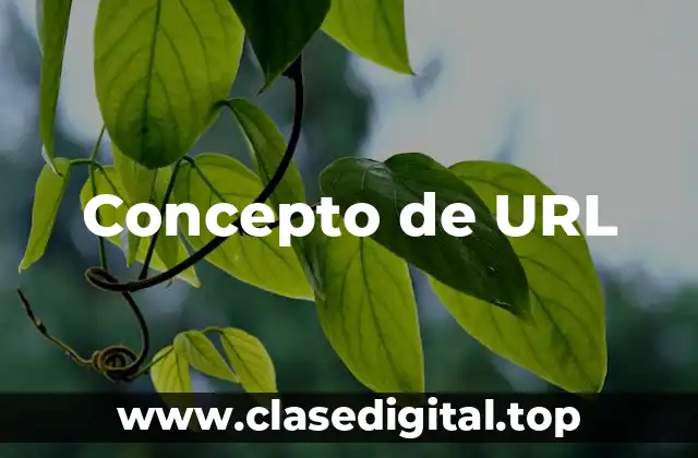 Concepto de URL
