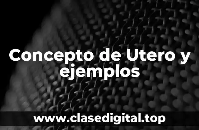 Concepto de Utero y ejemplos