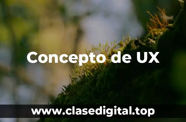 Concepto de UX