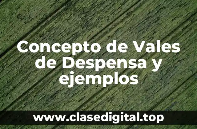 Concepto de Vales de Despensa y ejemplos