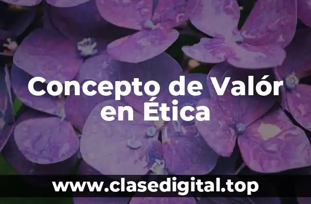 Concepto de Valór en Ética
