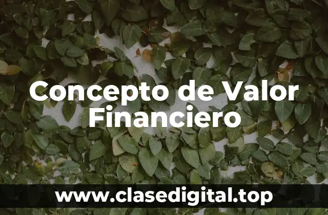 Concepto de Valor Financiero