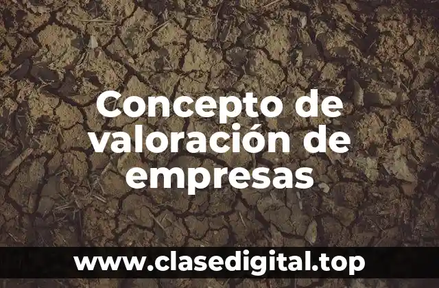 Concepto de valoración de empresas