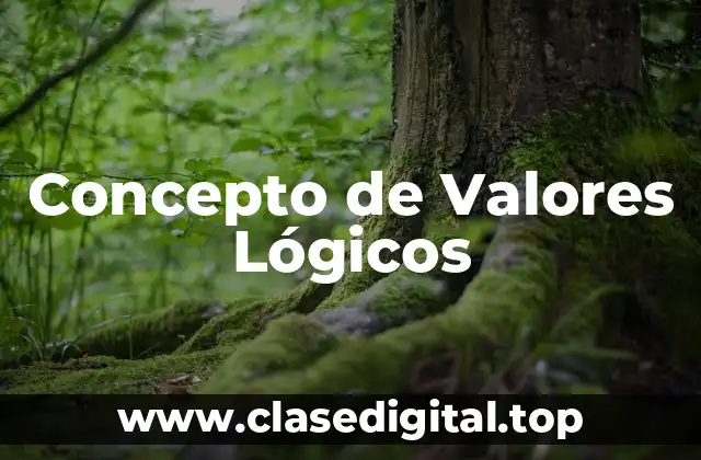 Concepto de Valores Lógicos