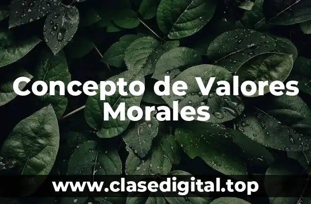 Concepto de Valores Morales