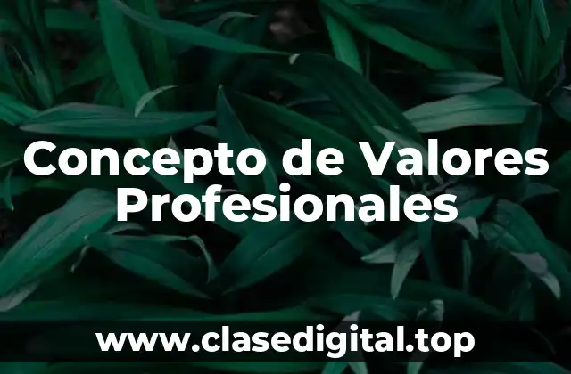 Concepto de Valores Profesionales