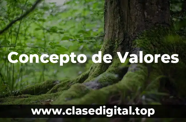 📗 Concepto de Valores