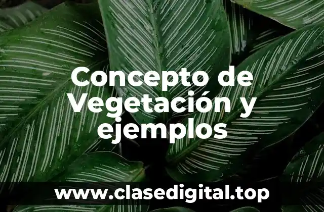 Concepto de Vegetación y ejemplos