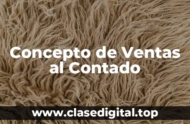 Concepto de Ventas al Contado