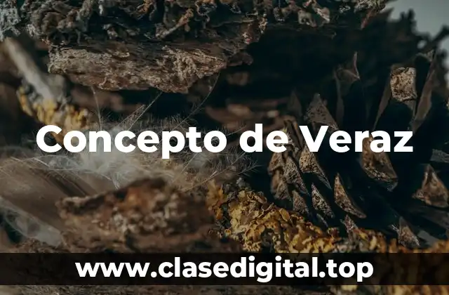 Concepto de Veraz