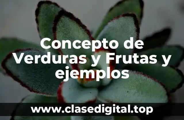 📗 Concepto de Verduras y Frutas