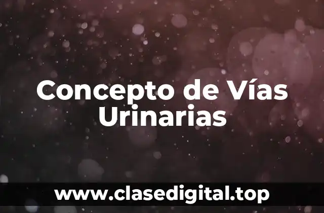 Concepto de Vías Urinarias