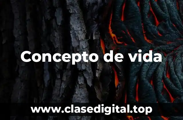 Concepto de vida