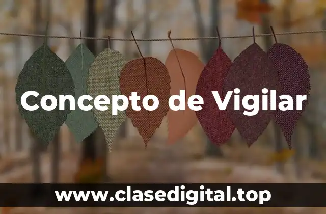 Concepto de Vigilar