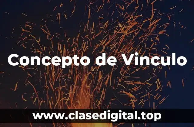Concepto de Vinculo