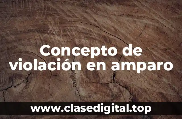 📗 Concepto de violación en amparo