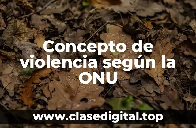 Concepto de violencia según la ONU