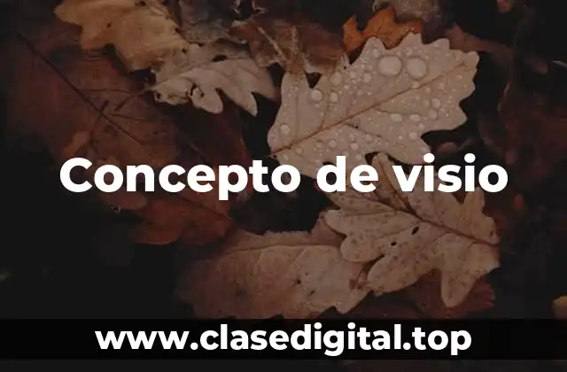 Concepto de visio