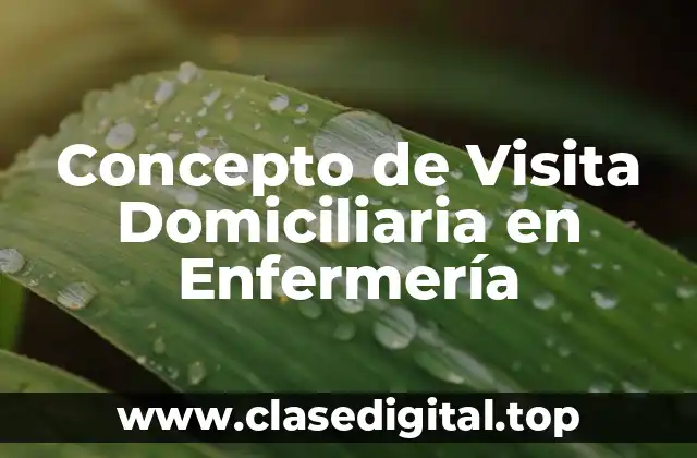 Concepto de Visita Domiciliaria en Enfermería