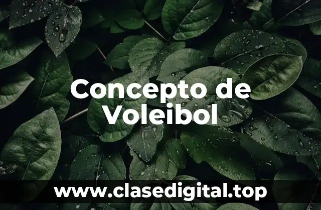 Concepto de Voleibol