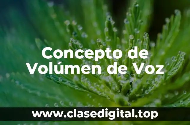 Concepto de Volúmen de Voz