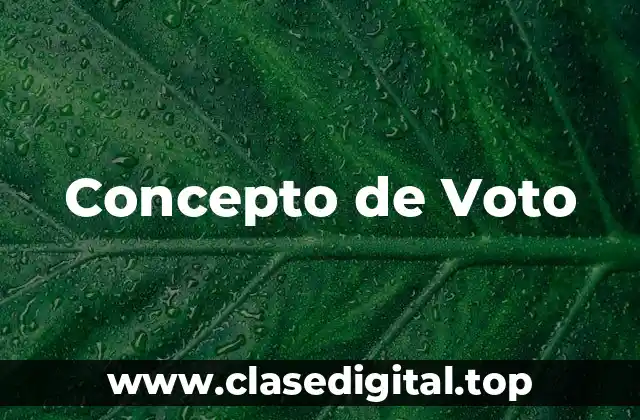 Concepto de Voto