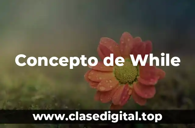 Concepto de While