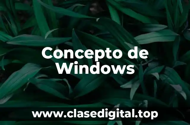 Concepto de Windows