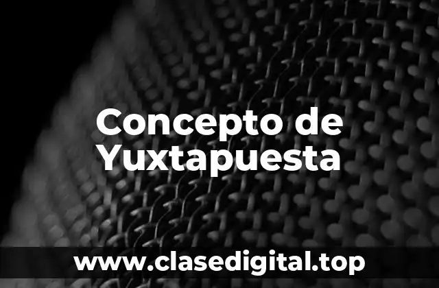 Concepto de Yuxtapuesta