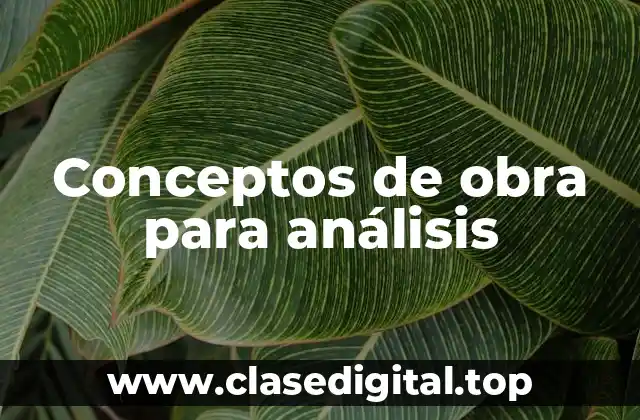 Conceptos de obra para análisis