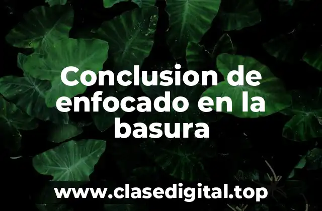 Conclusion de enfocado en la basura