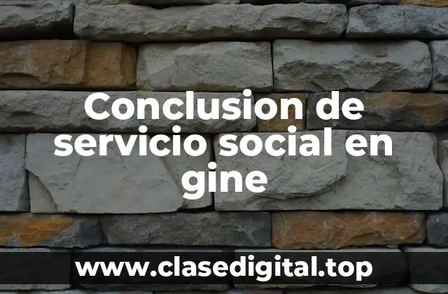 Conclusion de servicio social en gine