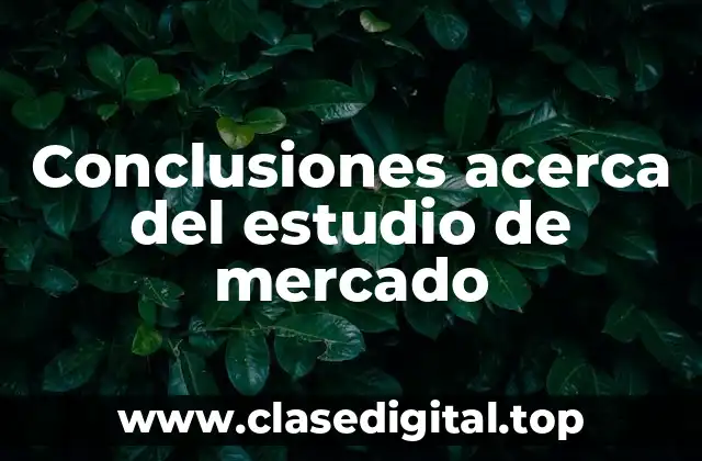 Conclusiones acerca del estudio de mercado