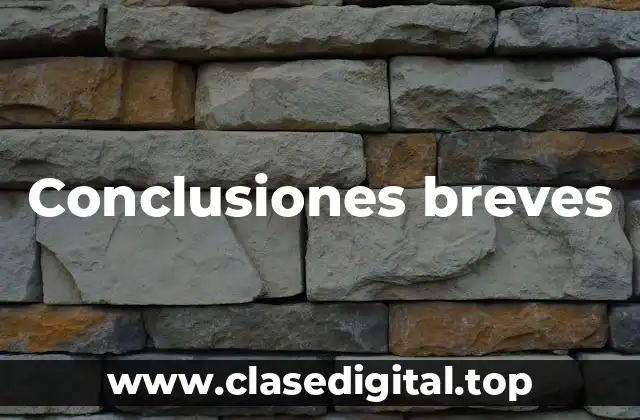Conclusiones breves