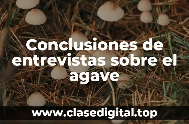 Conclusiones de entrevistas sobre el agave