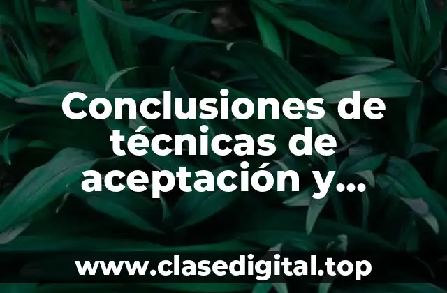 Conclusiones de técnicas de aceptación y sentimientos