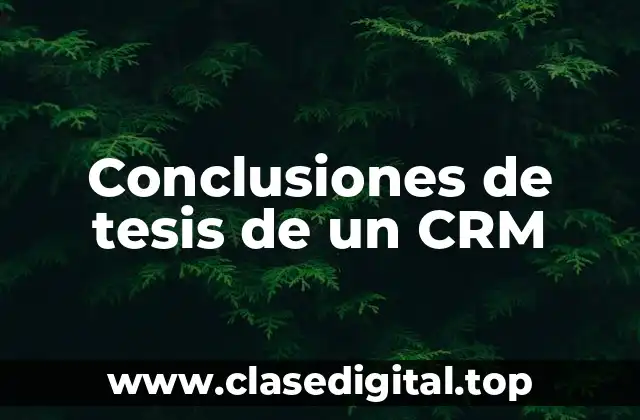 Conclusiones de tesis de un CRM