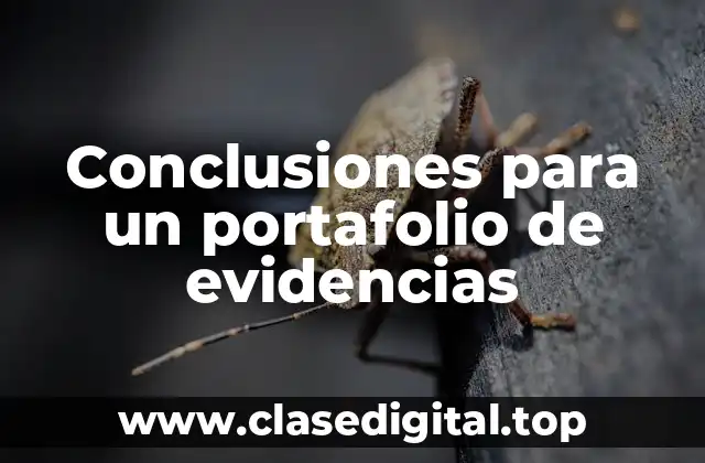 Ejemplos de conclusiones para un portafolio de evidencias