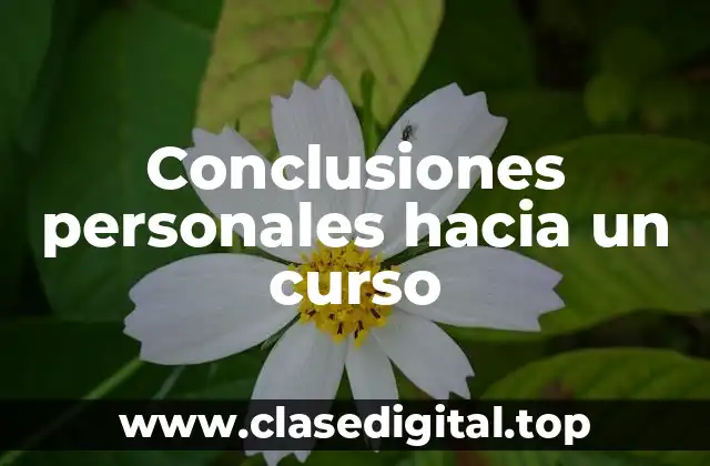 Conclusiones personales hacia un curso