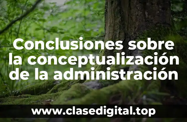 Conclusiones sobre la conceptualización de la administración